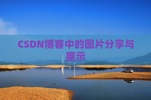 CSDN博客中的图片分享与展示